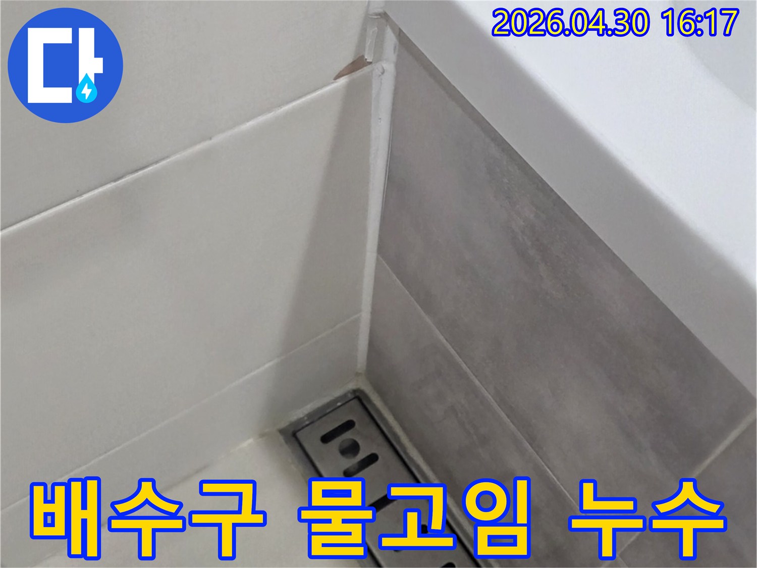 배수구-주변-물고임-현상과-누수-연관성을-파악하여-정확한-해결책을-제시하기-위해-전문가가-점검하고-있습니다.