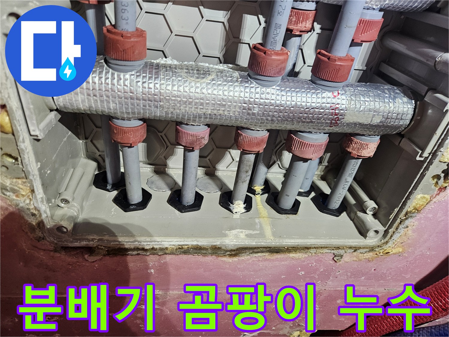 분배기 주변에-곰팡이가 발생하여-누수 여부를 확인하는 모습