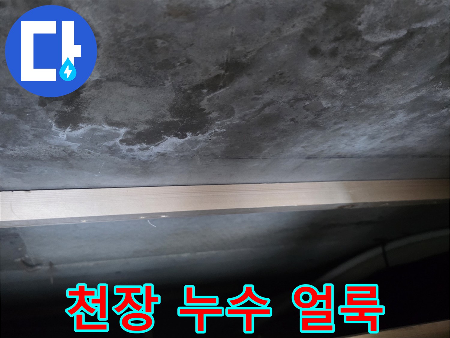 심하게 번진 천장 누수 얼룩과 젖은 자국