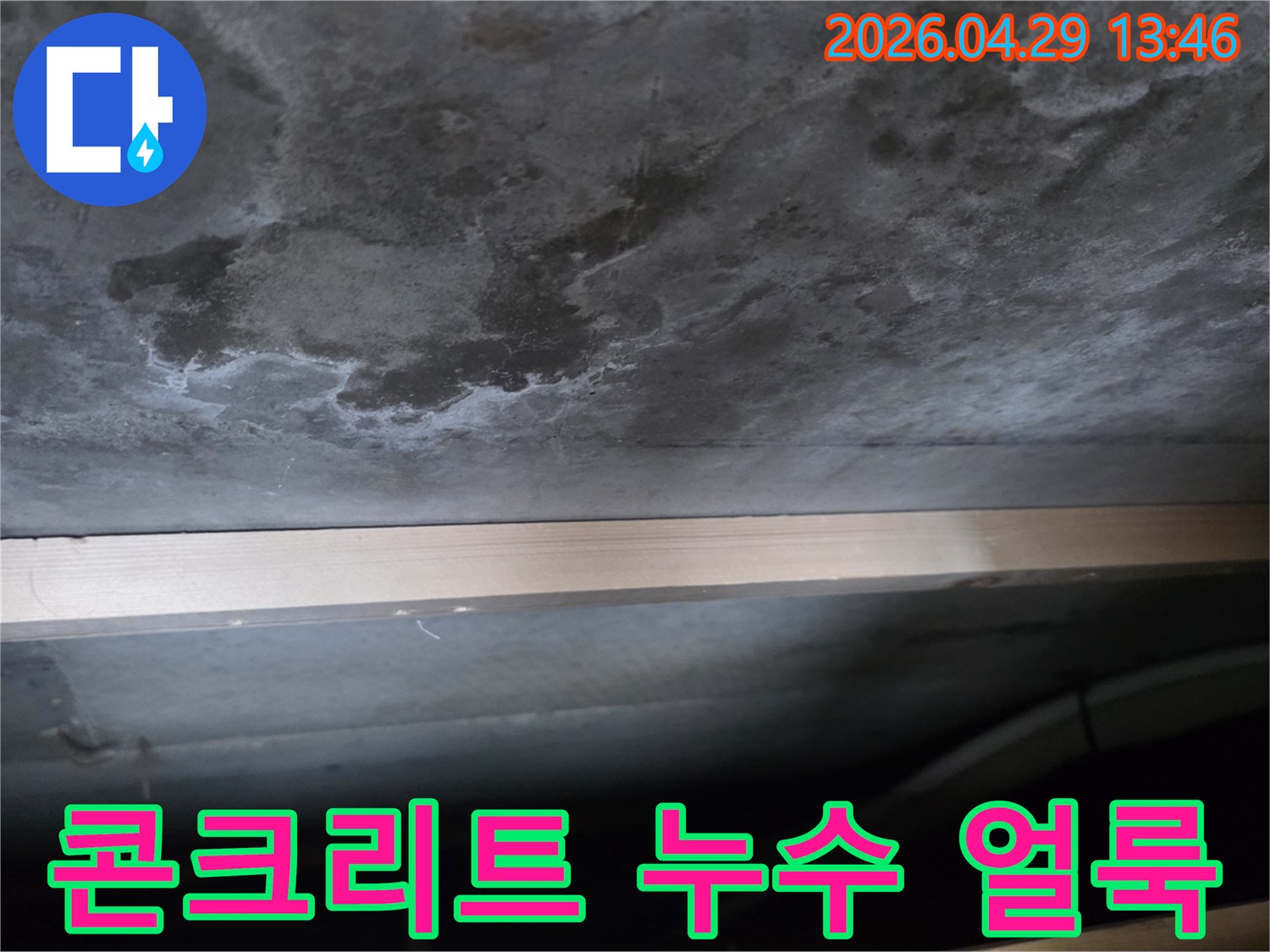 콘크리트 천장 표면에 물이 스며들어 생긴 어두운 얼룩과-하얀 백화 현상이 뚜렷하게 관찰됩니다.