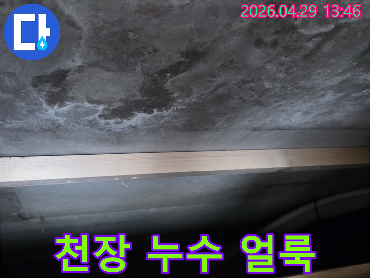 콘크리트 천장에 물이 새어 생긴 어두운 얼룩과-하얀 백화 현상이 뚜렷하게 보이는 사진입니다.
