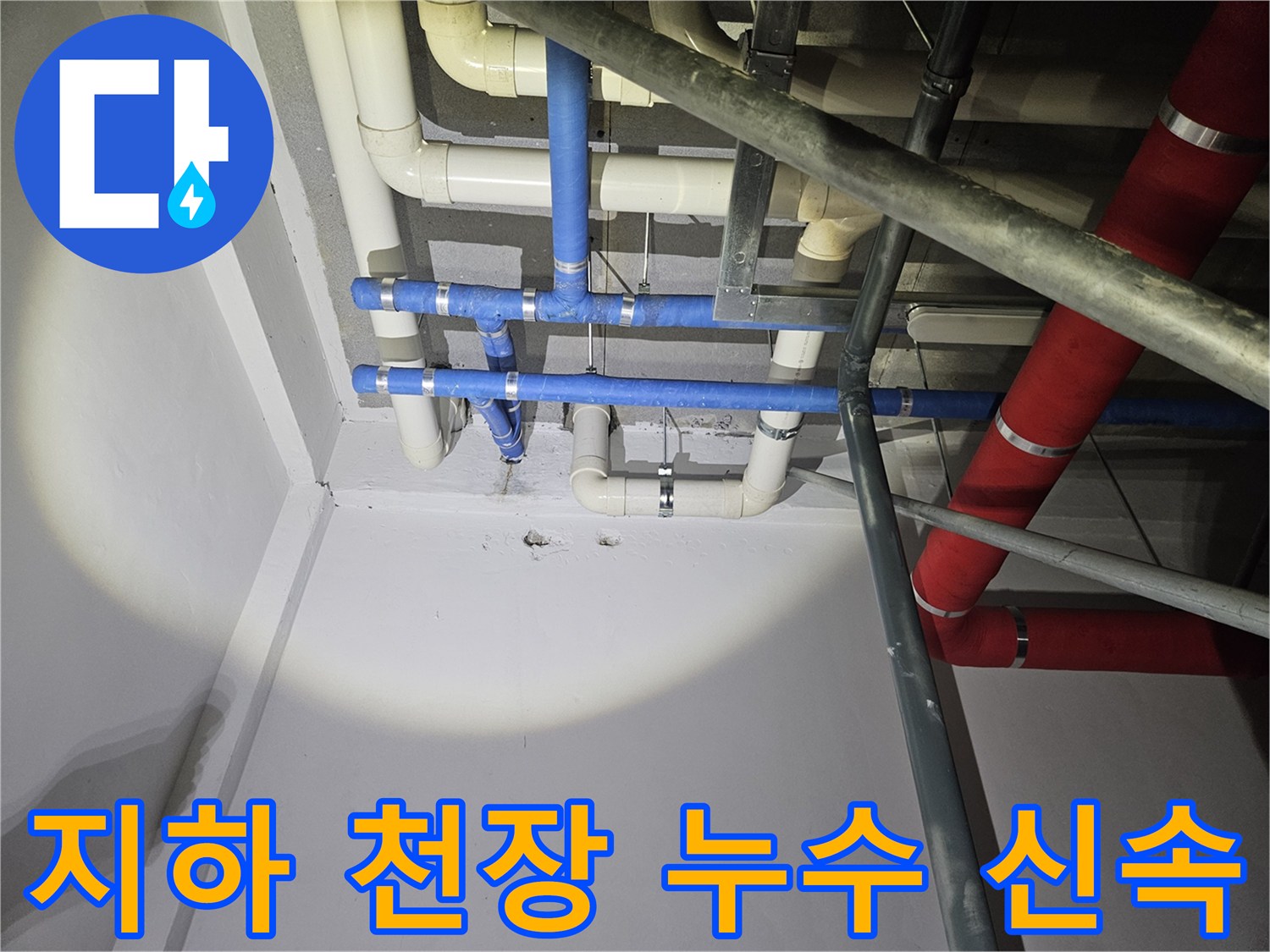 지하층-천장-배관에서-발생한-누수-지점을-정확하게-파악하여-신속한-조치를-준비하는-모습