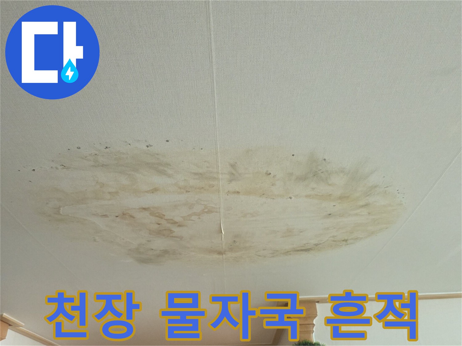 천장 중앙부에 발생한-누수 얼룩과 습기 침투 부위