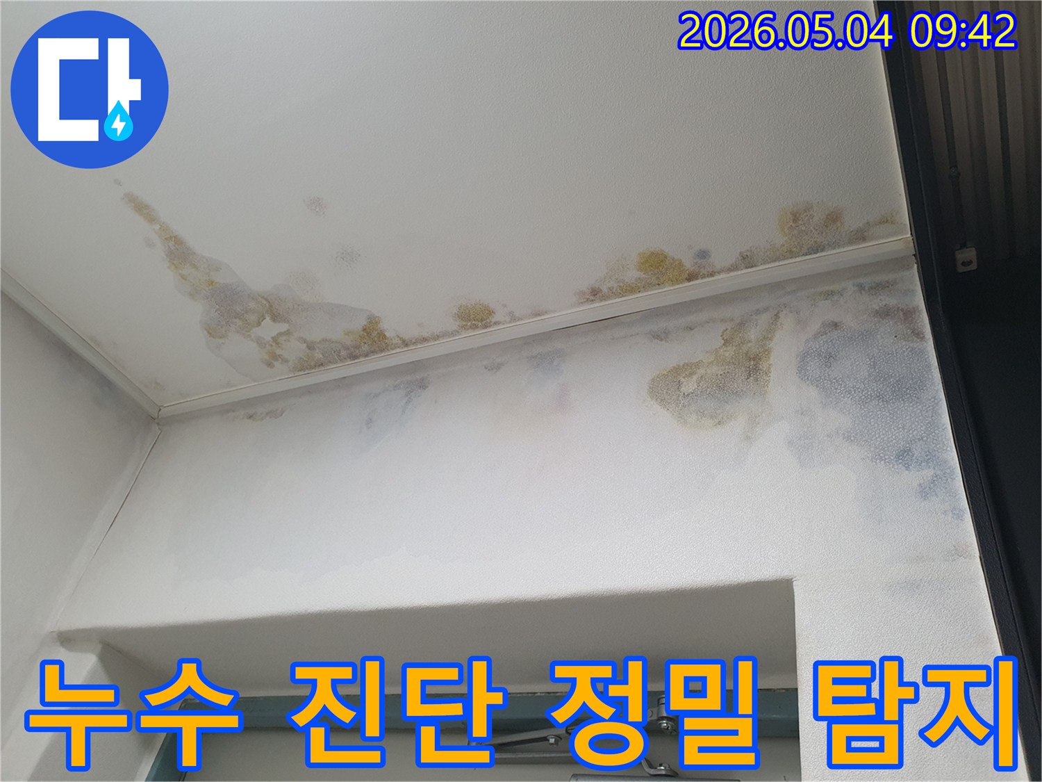 아파트-천장과-벽에-누수로-인한-곰팡이가-생겨-정밀한-누수-진단과-탐지가-필요한-현장