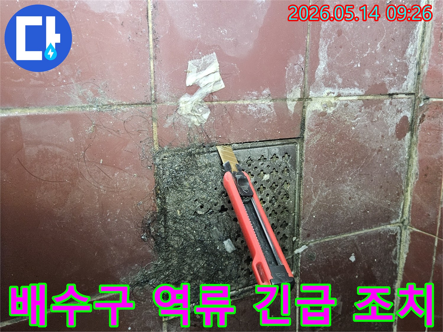 오래된 욕실 배수구에 엉킨 머리카락과 슬러지를 커터칼로 긁어내며 누수 방지를 위한 긴급 조치를 하는 모습