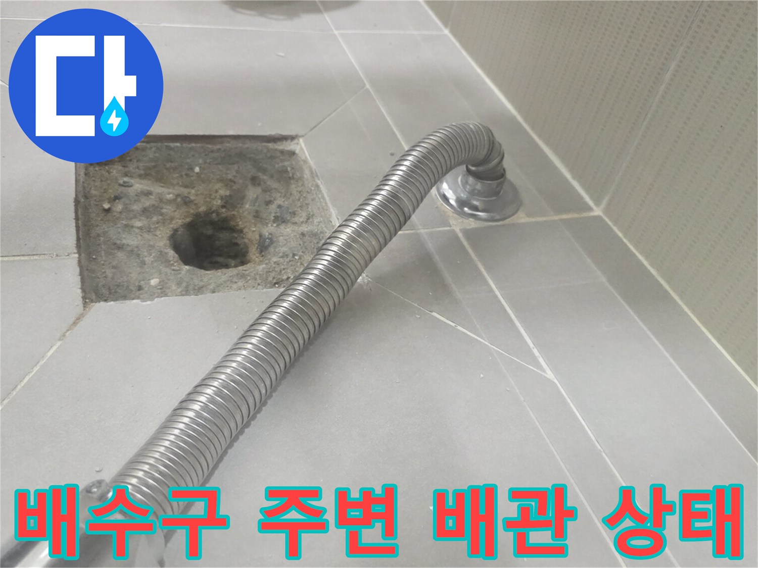 분당 수내동 화장실 - 배수구 주변 배관 연결 부위 점검 모습