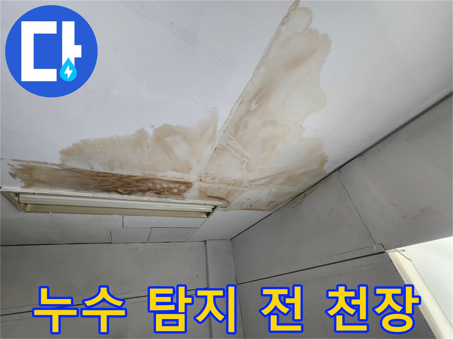 건물 천장 표면에 물이 새어 발생한 갈색 얼룩과 곰팡이가 보이는-정밀 탐지를 기다리는 모습