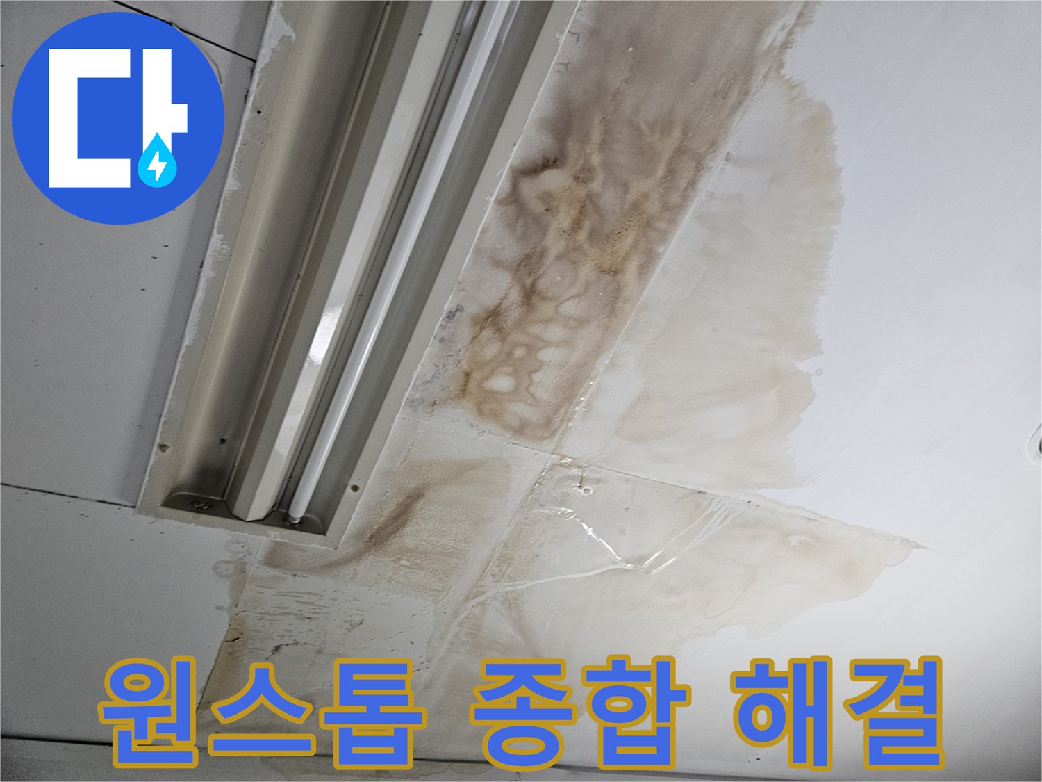 천장-누수-현장에서-탐지부터-보수-복원까지-모든-과정을-원스톱으로-제공하는-종합-해결-서비스를-설명하는-사진입니다