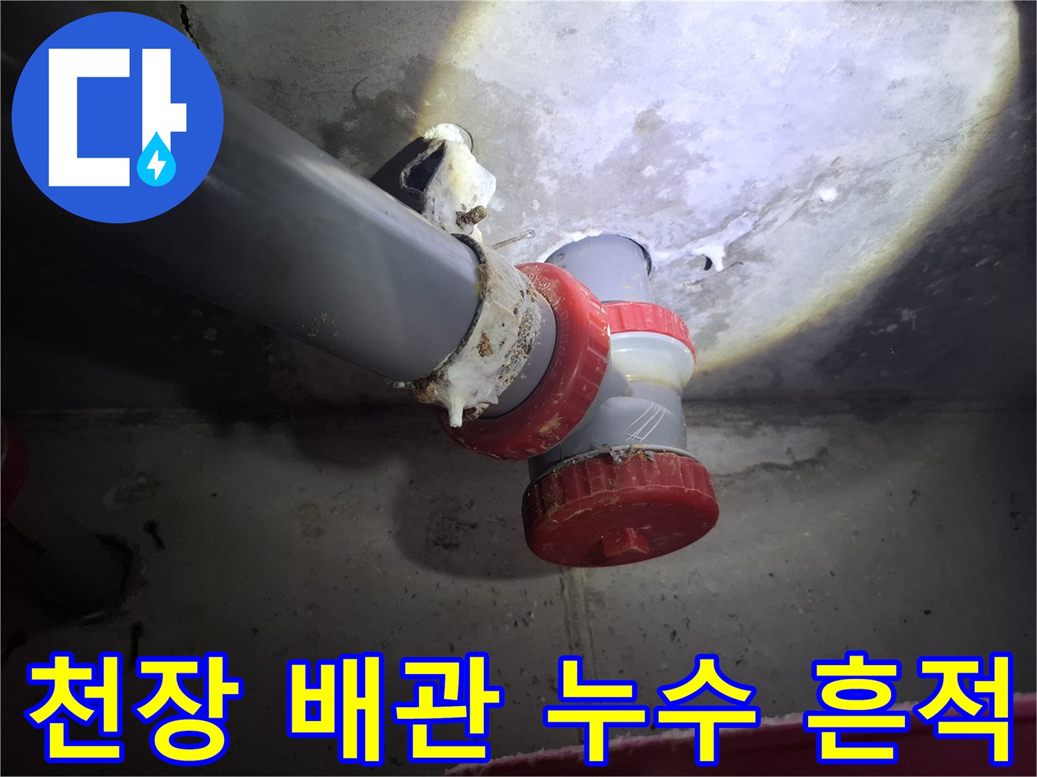 오수관 연결 부위-하얗게 굳은 이물질과 주변의 습한 상태