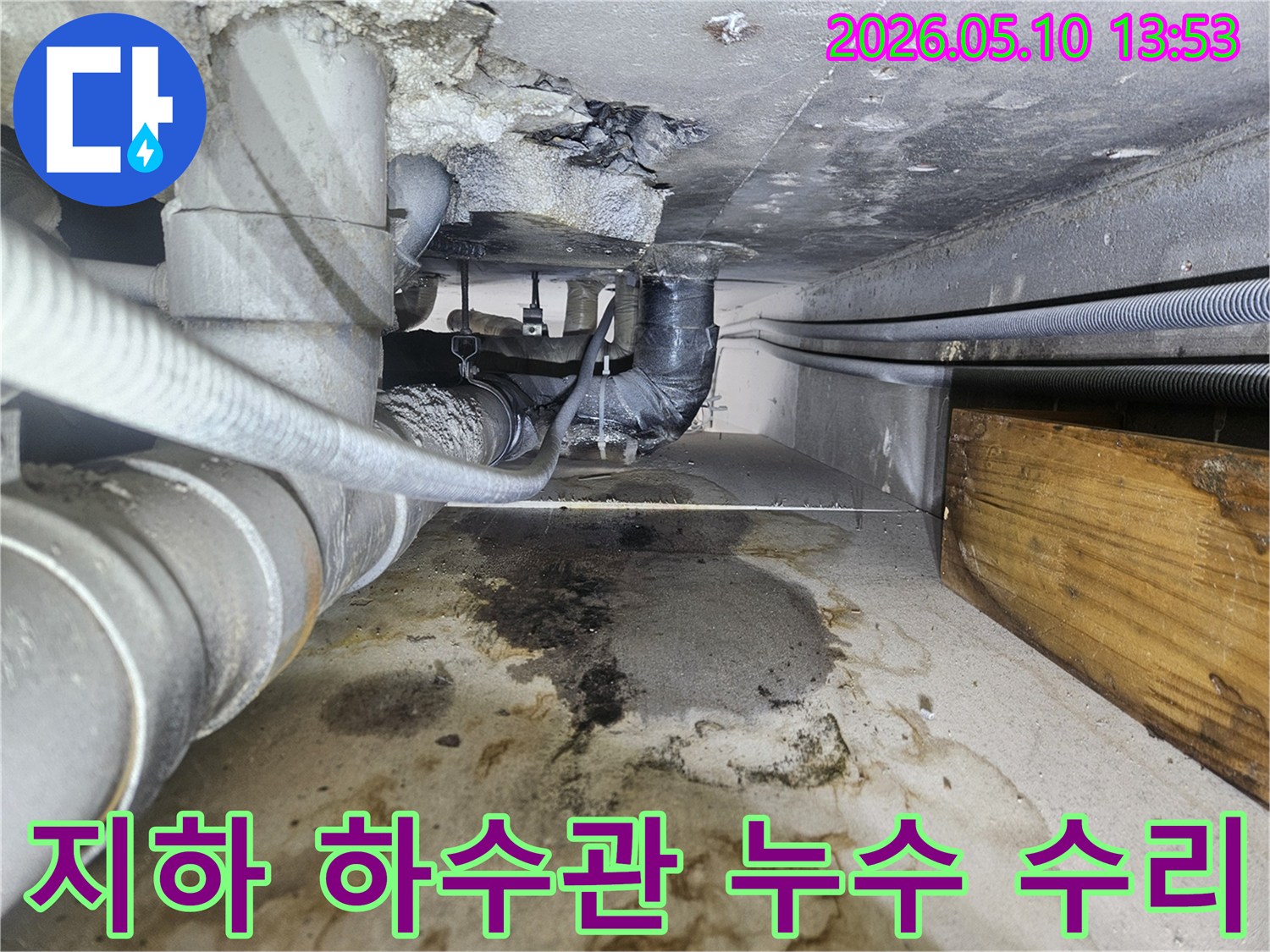 일산동구-아파트-지하-하수관-누수-현장-정확한-탐지-후-수리-완료