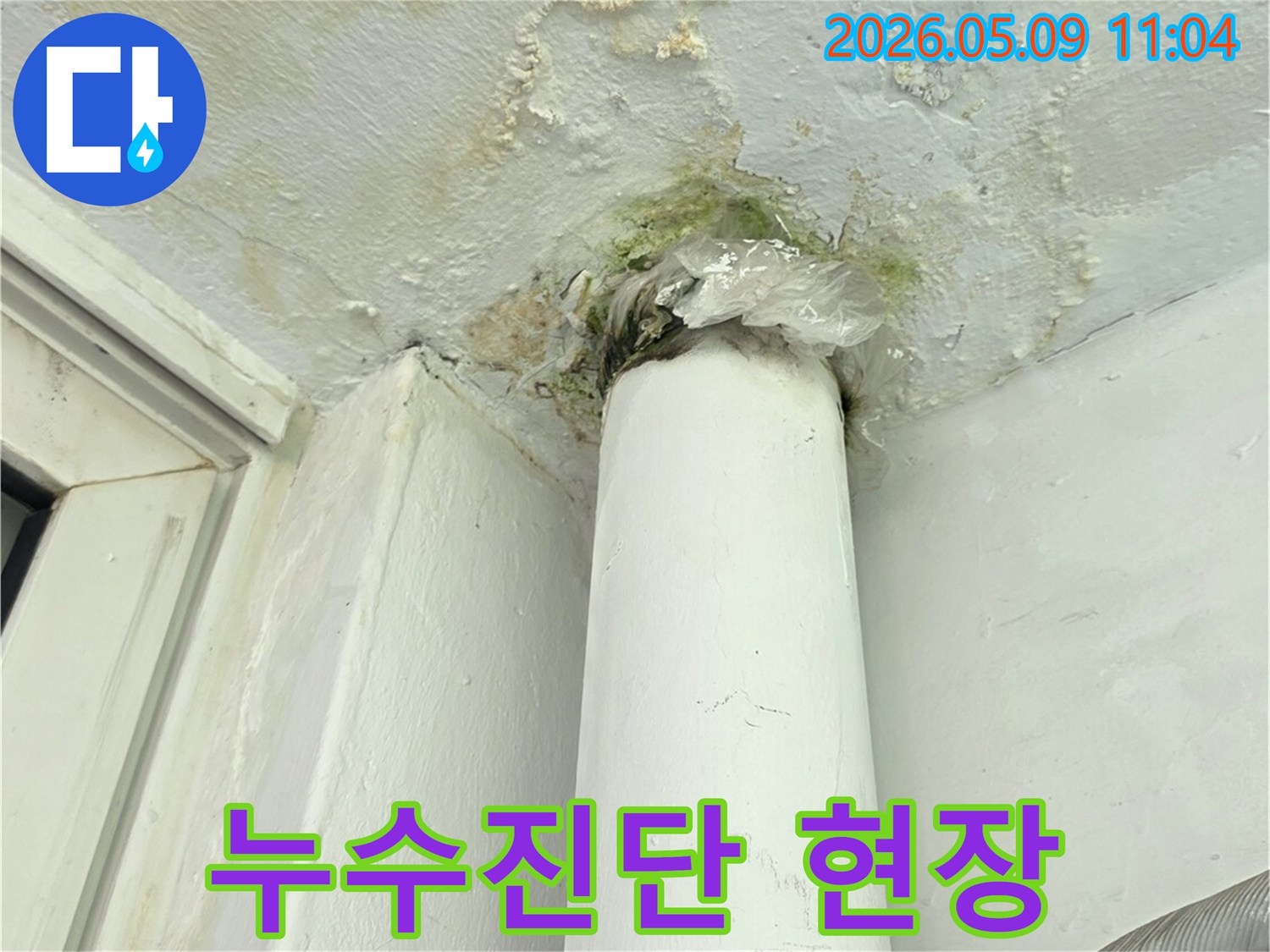 누수 엔지니어가-파이프 주변의-물자국과 곰팡이를 통해-누수 지점을-진단하는 현장 이미지