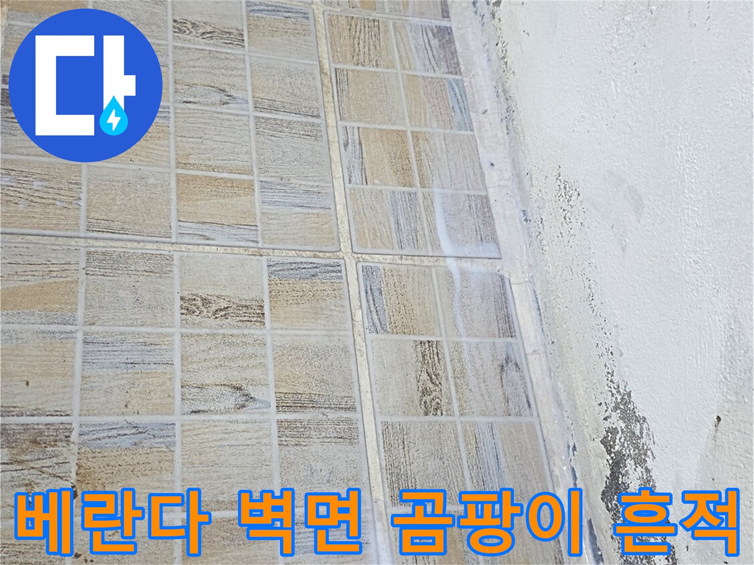 물샘으로 인해 발생한 타일 상단부의 곰팡이와 얼룩