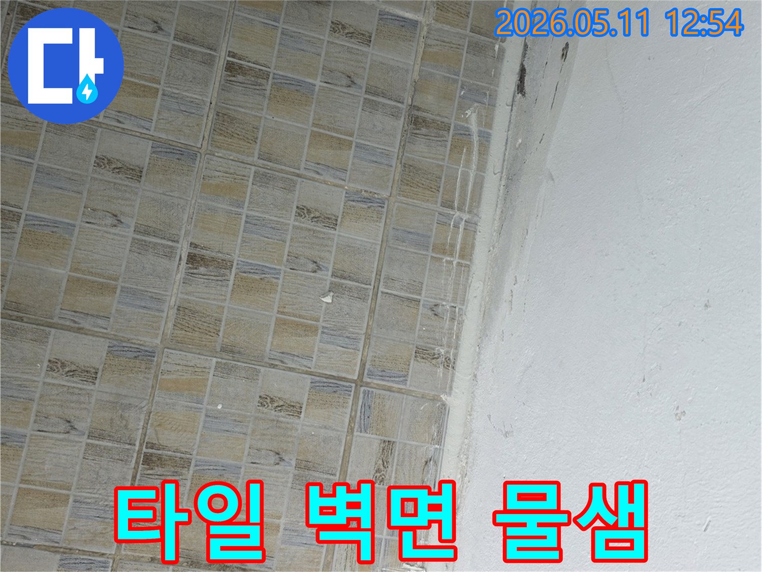 이 이미지는-서울 양천구 신안파크아파트의-타일과-벽면-사이에서-발생한-누수로-인한-물샘과-곰팡이를-보여줍니다.