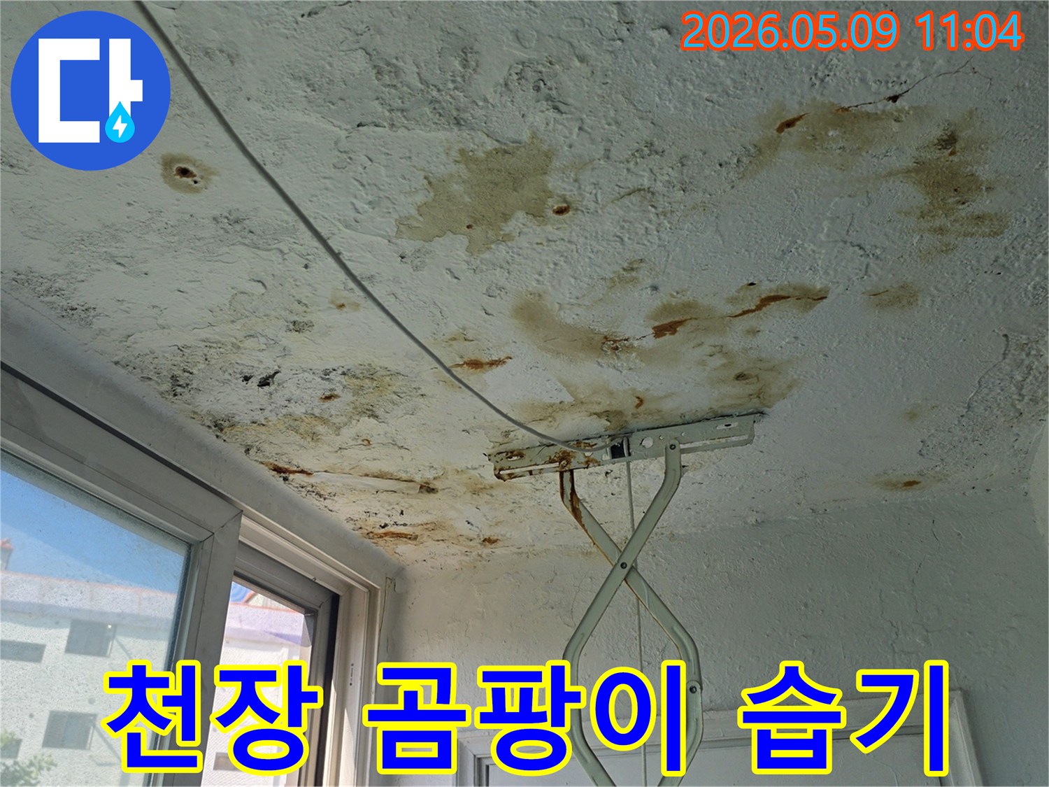천장에 넓게 퍼진 누수-얼룩과 곰팡이는-지속적인 습기 유입으로-인한 피해를 보여줍니다