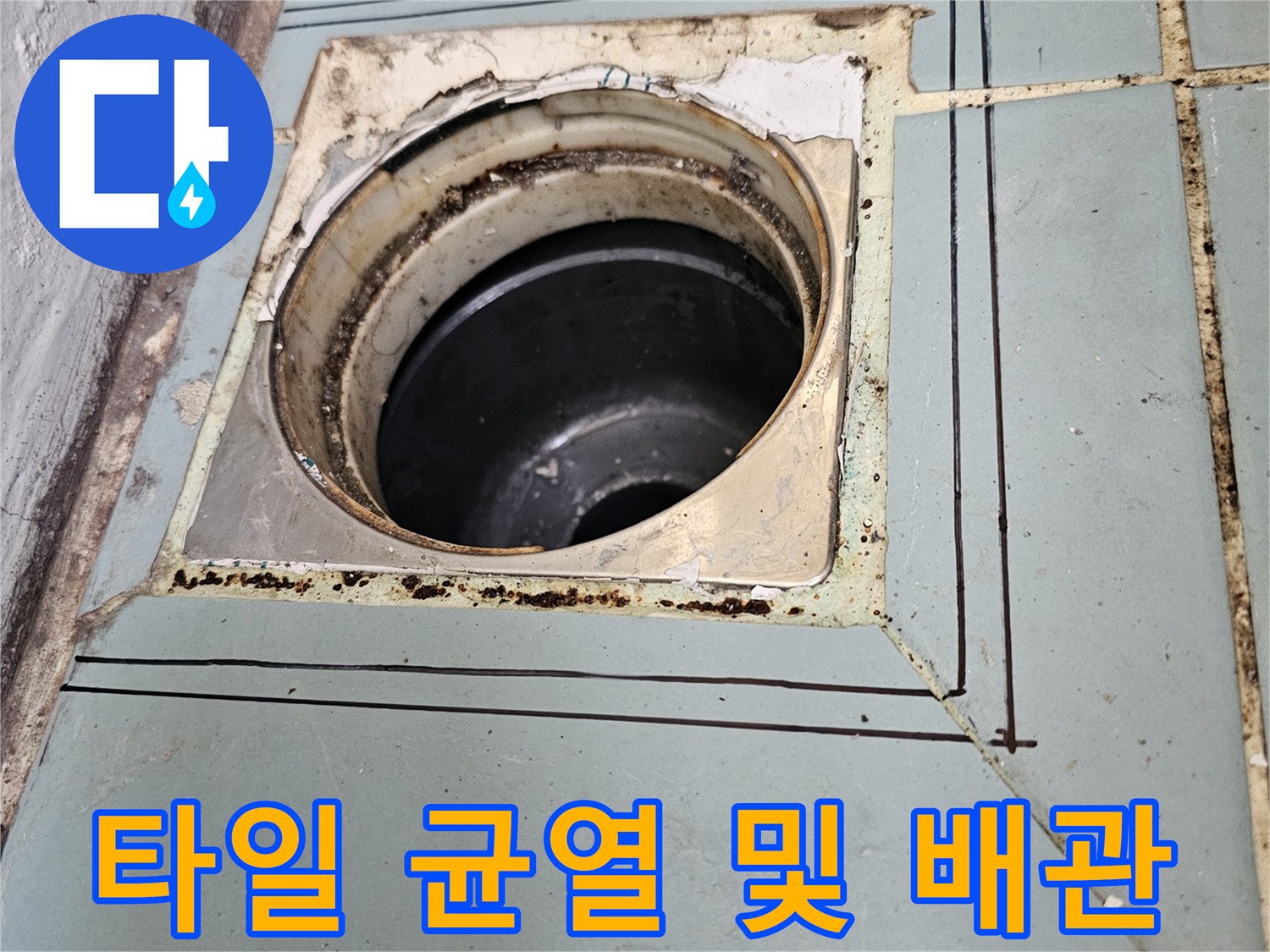 배수구-주변-타일-틈새와-노출된-배관-내부