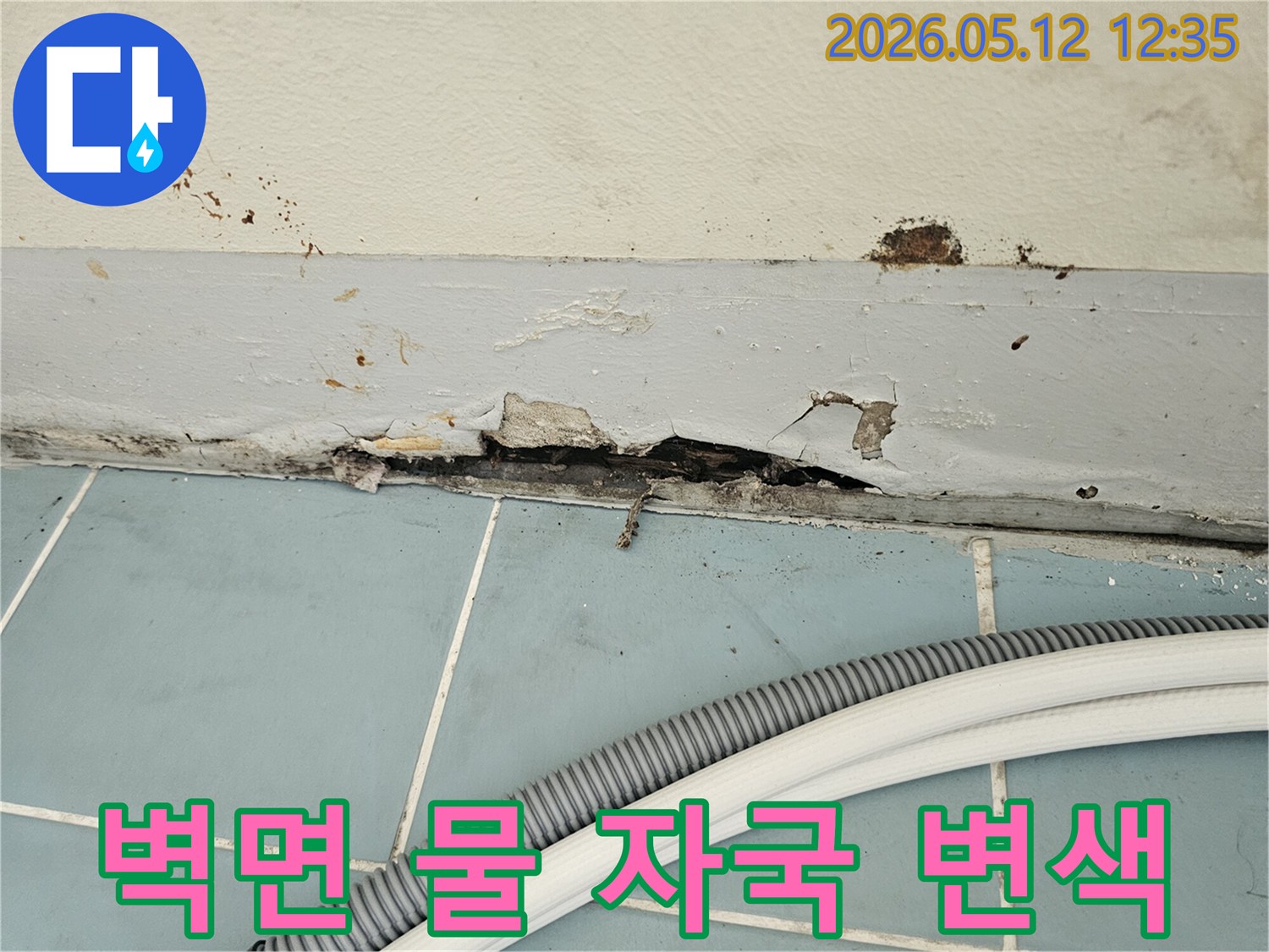 벽과-타일-경계면에서-발생한-심각한-누수-피해로-페인트가-벗겨지고-벽면이-손상된-모습