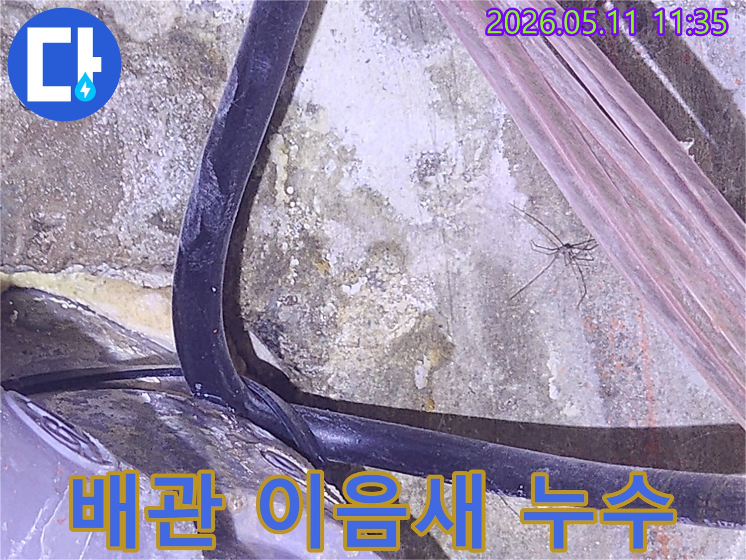 배관-이음새에서-발생한-누수를-정밀-탐지하기-위해-촬영된-현장-사진