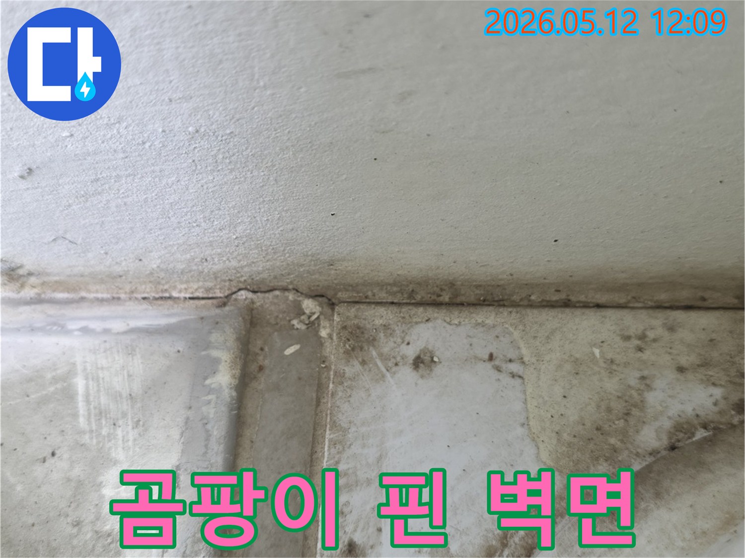 물샘-현상으로-벽면-하단에-습기가-차고-곰팡이가-피어난-누수-진단-사진입니다.