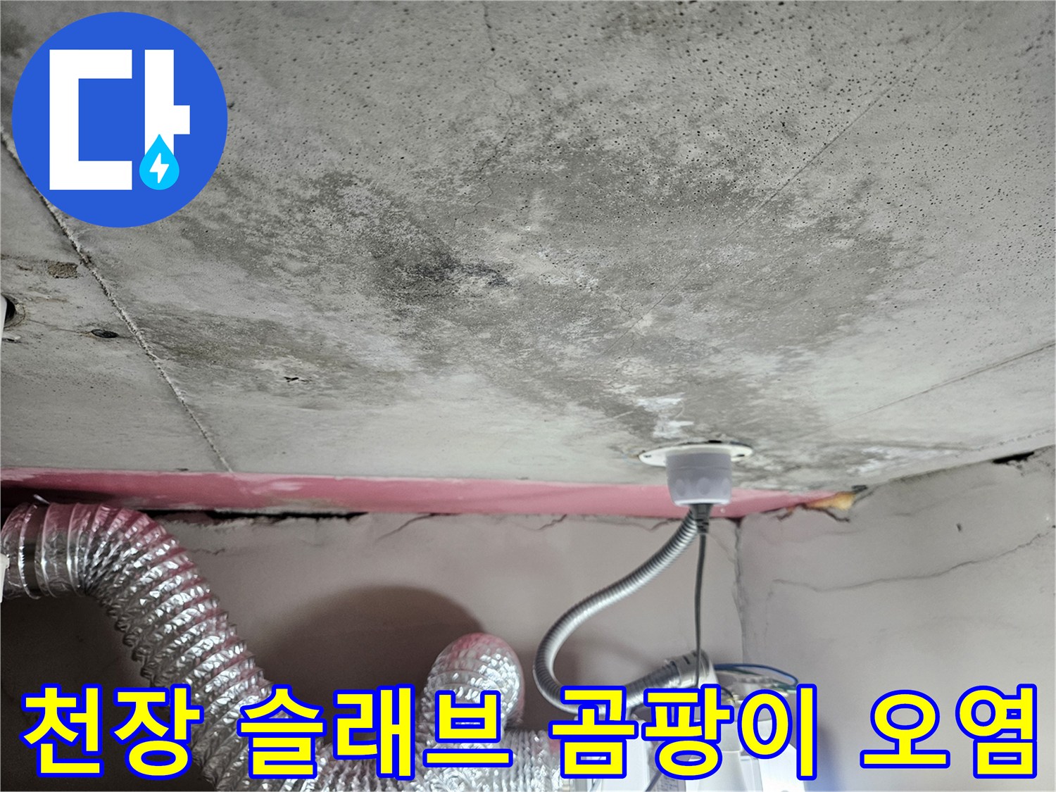 누수로 인해 변색되고 곰팡이가 번진 화장실 천장 콘크리트 표면