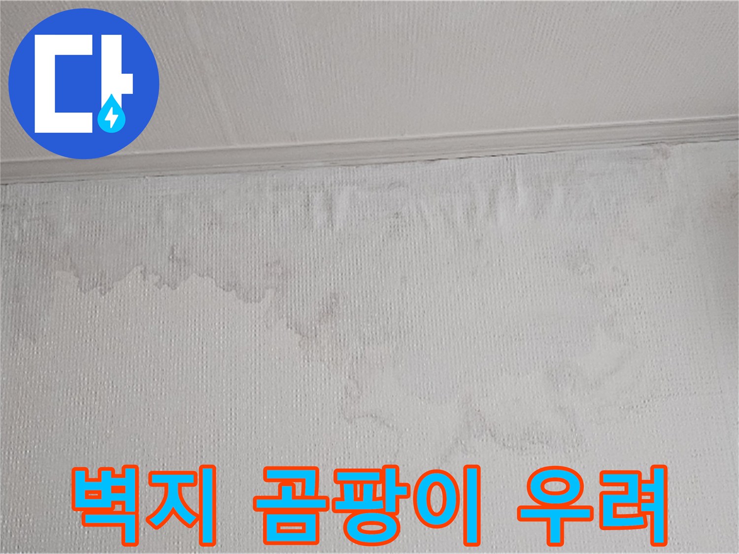 물이 새어 벽지가 젖고 곰팡이가 생길 수 있는 환경입니다-건강과 건물의 안전을 위해 빠른 조치가 필요합니다