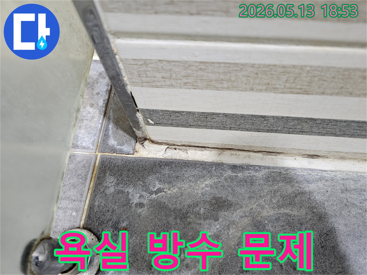 아파트 욕실-누수 현장-타일 줄눈-손상 심각-물샘 방지-보수 공사-준비 중
