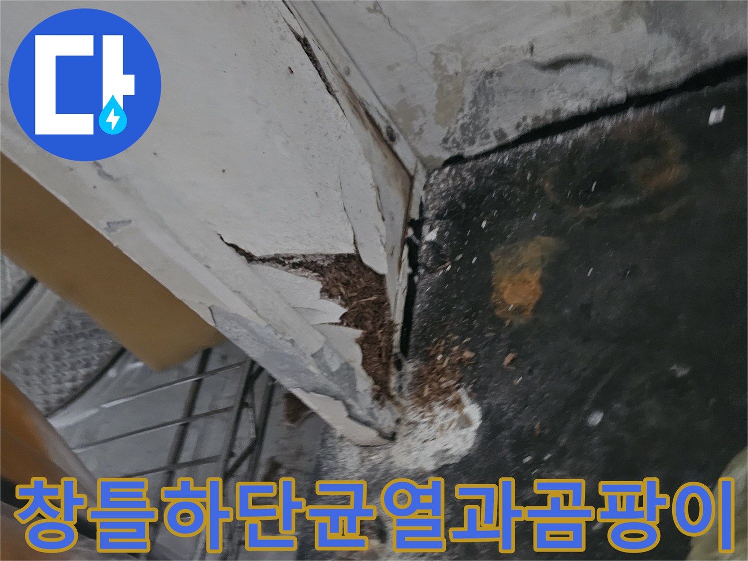 베란다-창틀-하단부-틈새가-벌어지고-곰팡이가-발생한-상태입니다
