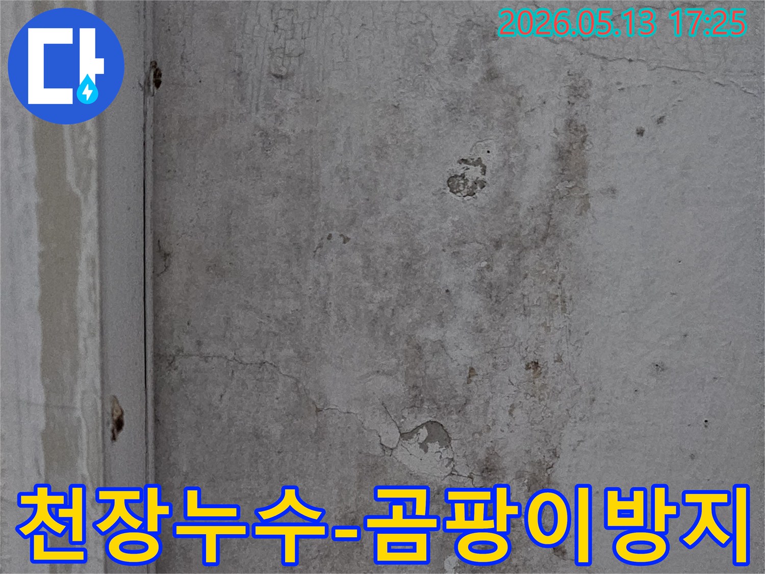 의정부-아파트-천장의-누수-흔적과-곰팡이-발생-우려가-있는-손상-부위