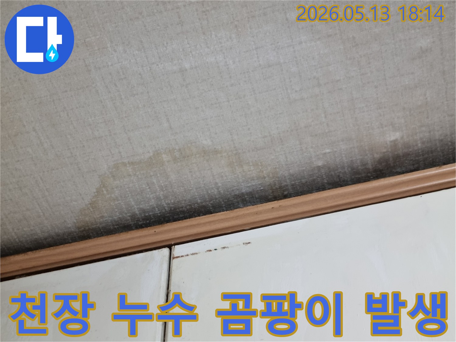 이 사진은-천장에 발생한-누수로 인한-물 자국과-곰팡이가-번진 모습을-보여줍니다