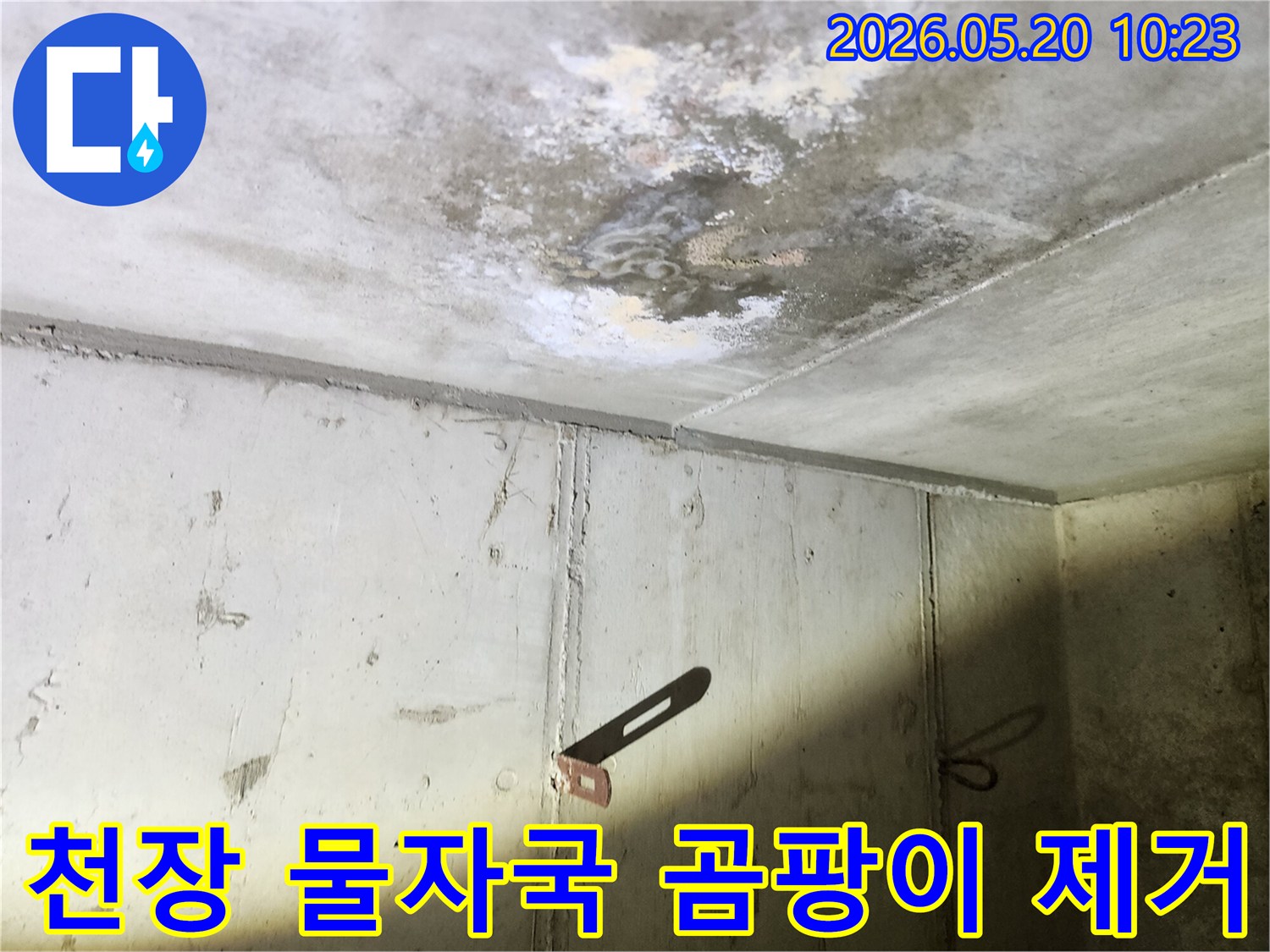 누수로 인해 생긴 천장의-물자국과 곰팡이를-제거하고 깨끗하게 복구하는 모습