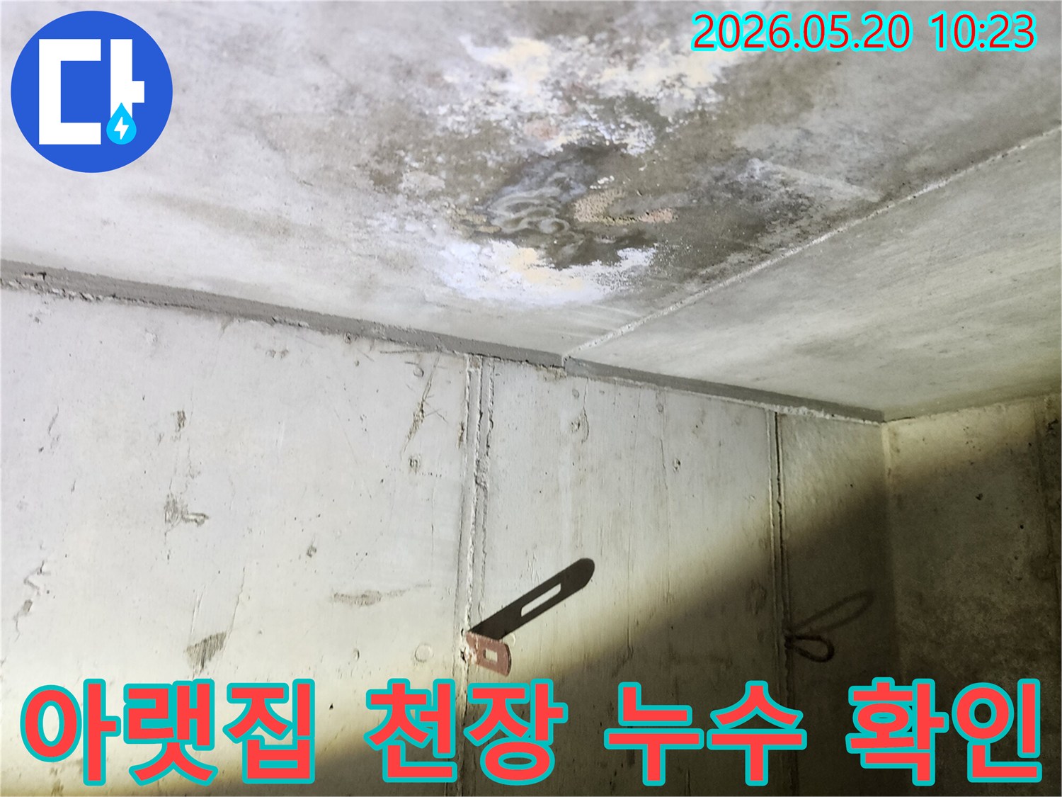 아랫집 천장에 발생한-누수로 인한 물자국과-곰팡이의 심각한 모습