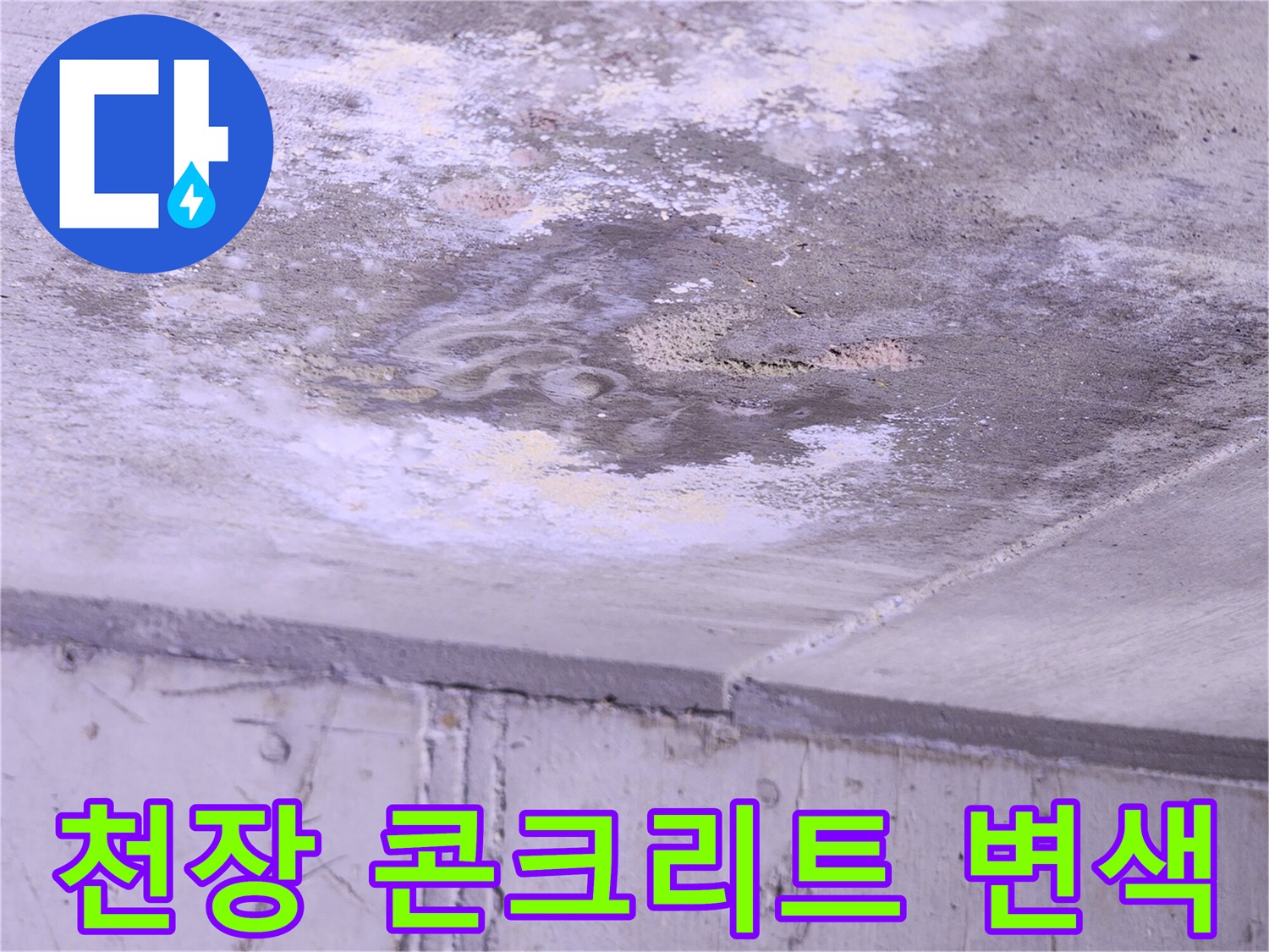 콘크리트 슬래브에 나타난 물샘으로 인한 변색 부위