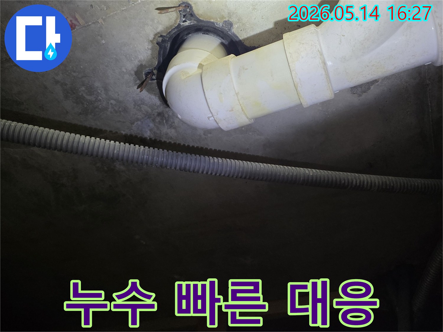 서울-서대문구-봉원동-주택-지하-배관-누수-현장에서-전문가가-빠르게-대응하여-문제를-해결하는-모습