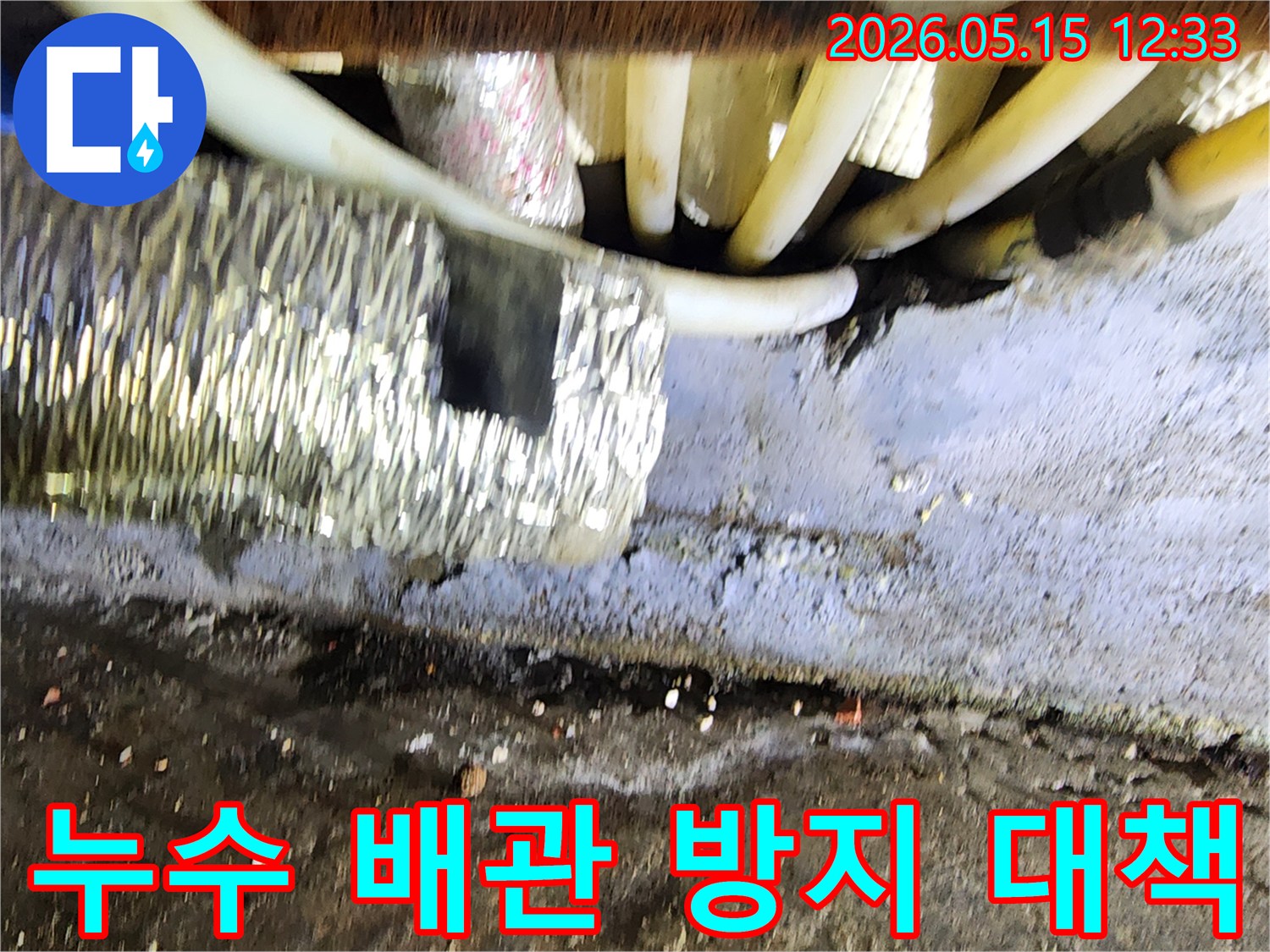 복잡하게-얽힌-배관-사이에서-누수-지점을-정확히-찾아내는-숙련된-기술자의-작업