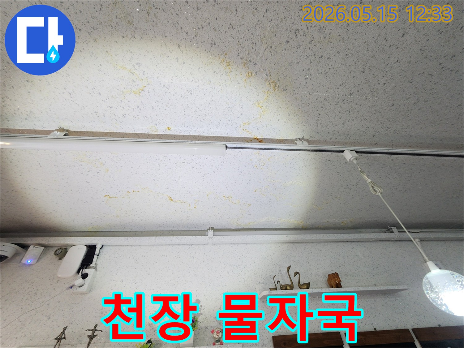 천장에서-발견된-누수-흔적과-곰팡이-오염-사진입니다.