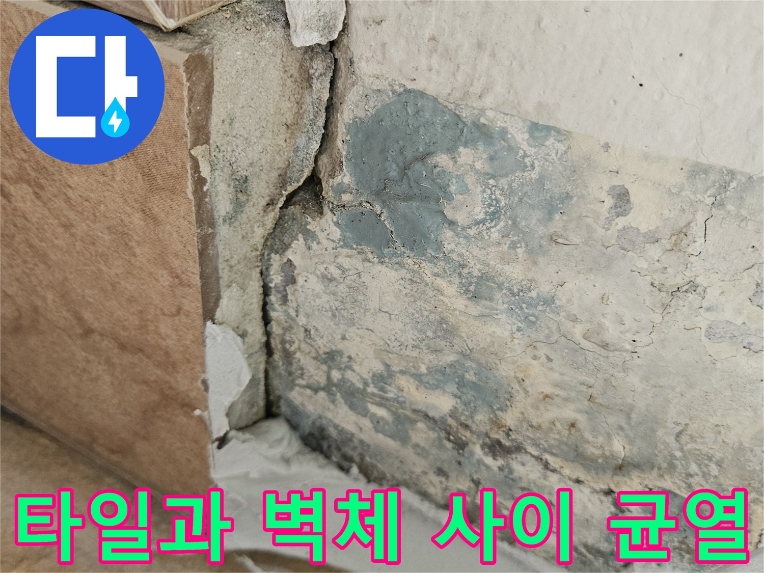 균열된 타일 틈새와 벽면의 곰팡이 오염 부위