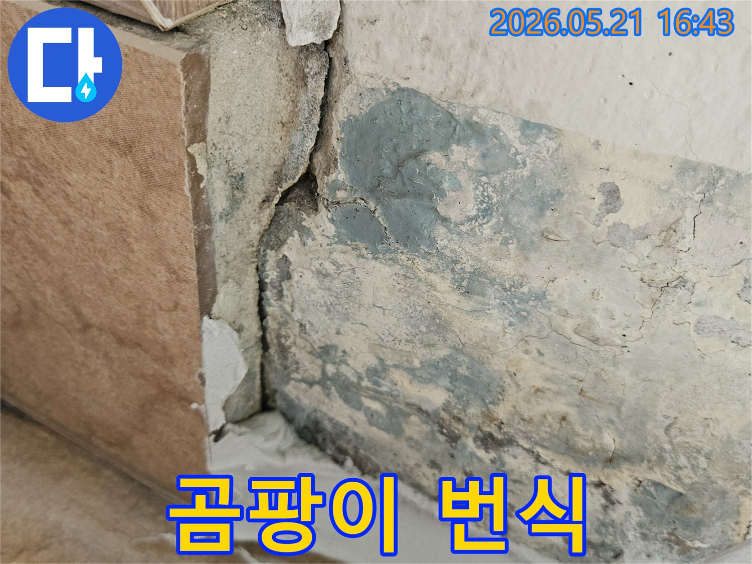 물이-지속적으로-새어-나와-벽면이-심하게-손상된-사진