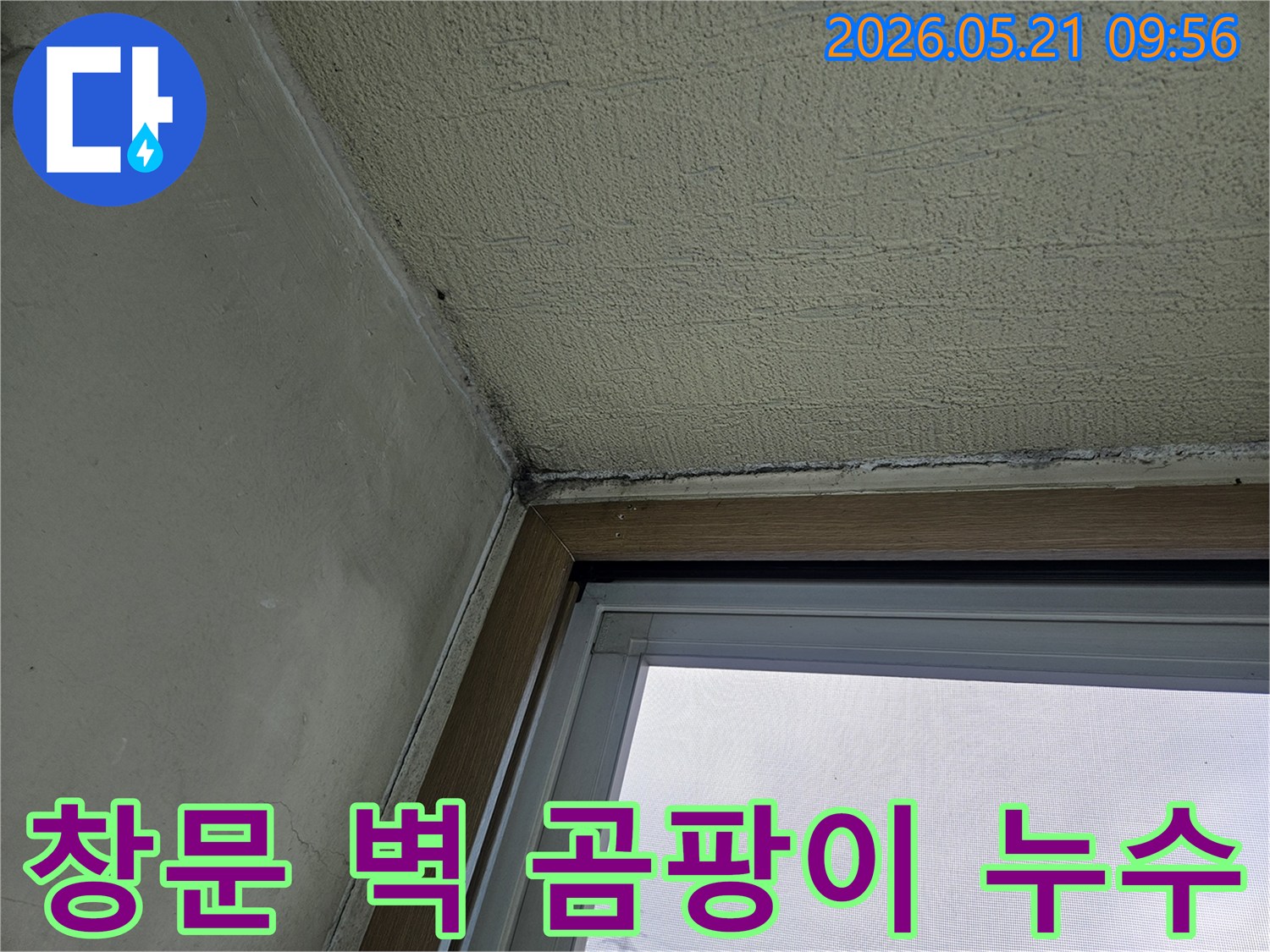 창문 모서리 벽면에 나타난-검은 곰팡이와-물기로 인한 벽면 손상을 보여주는-아파트 내부 사진