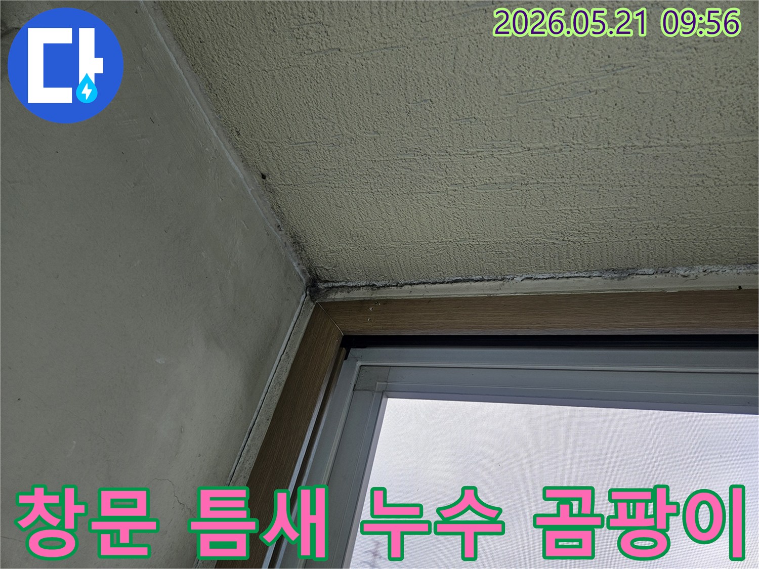 창문 하단과 벽이 만나는 지점에-발생한 곰팡이와-물기로 인한 손상을 보여주는-주택 내부 벽면의 클로즈업 사진