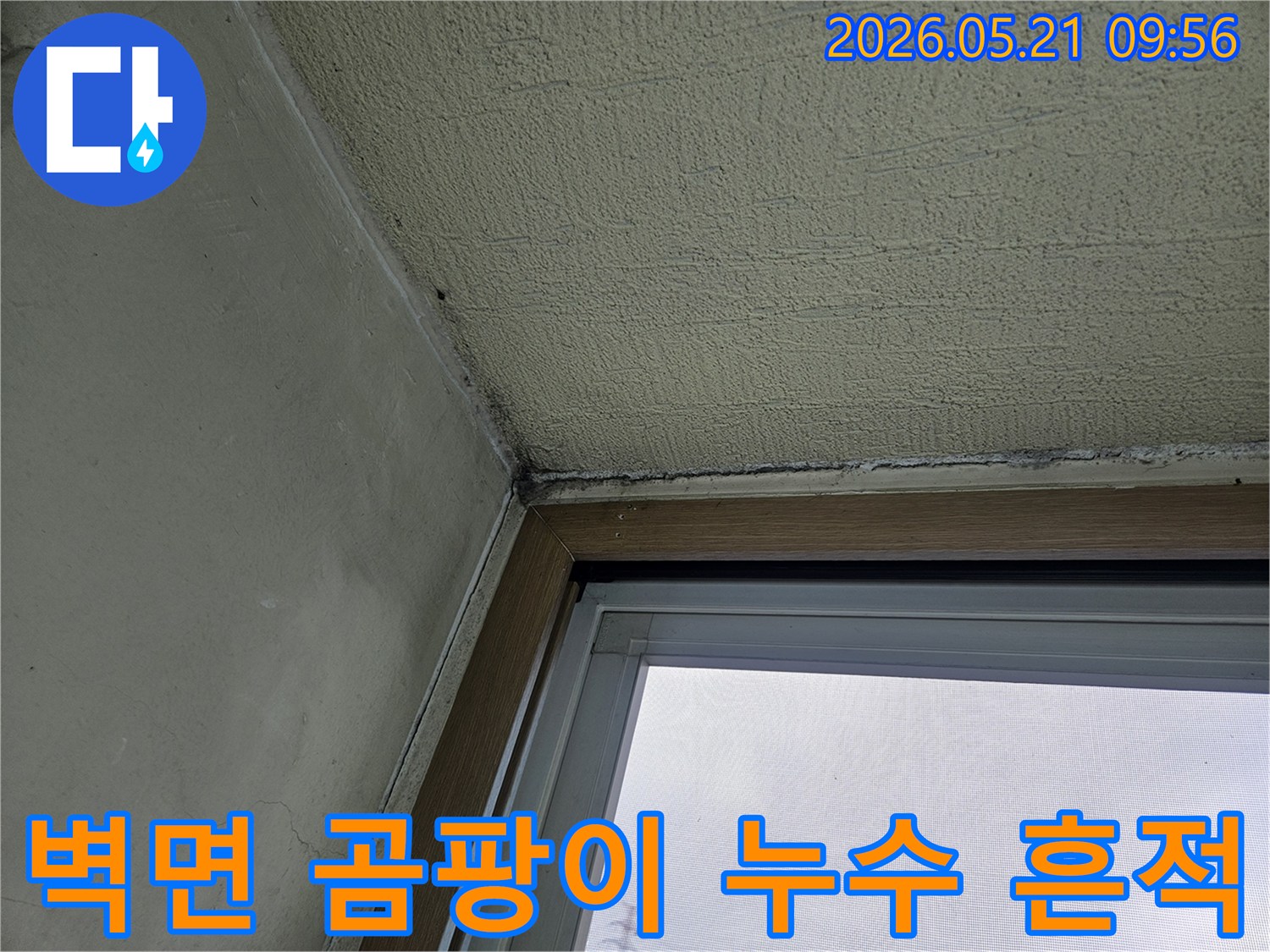 창문과 벽이 만나는 모서리 부분에-발생한 곰팡이와-물기로 인한 손상을 보여주는-아파트 내부 벽면 사진