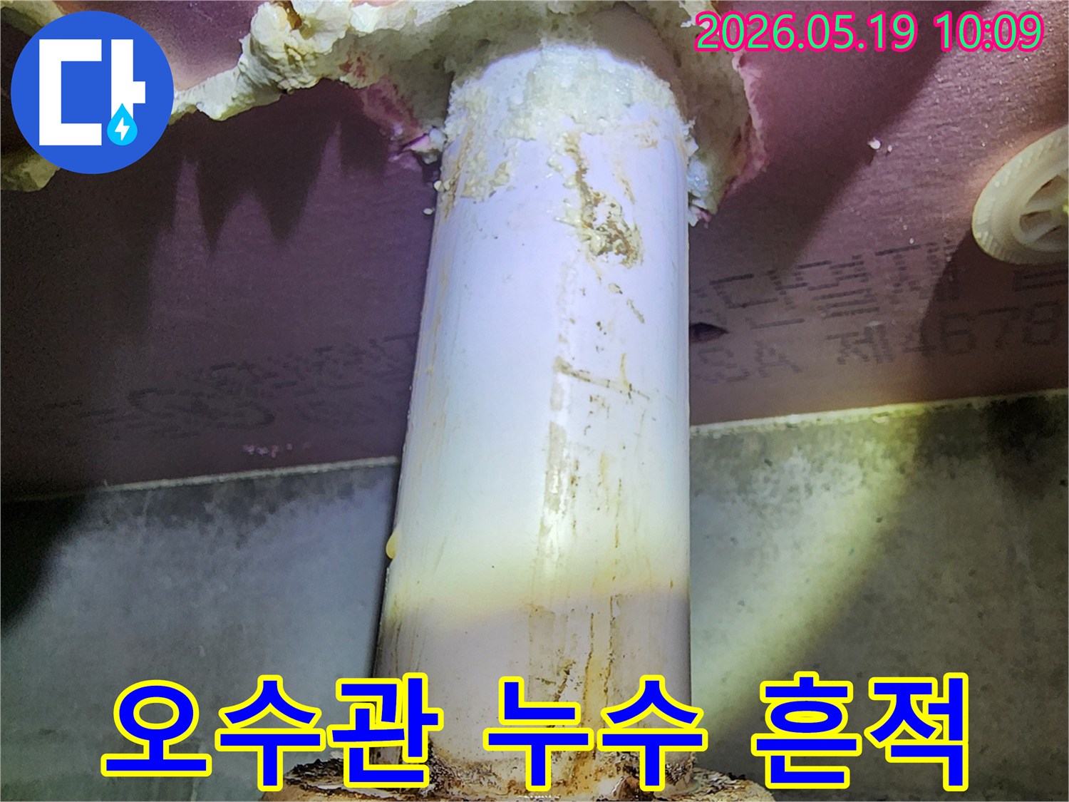 이 이미지는 오수관에서 발생한 누수로-주변이 오염되고 젖은 모습을 보여줍니다