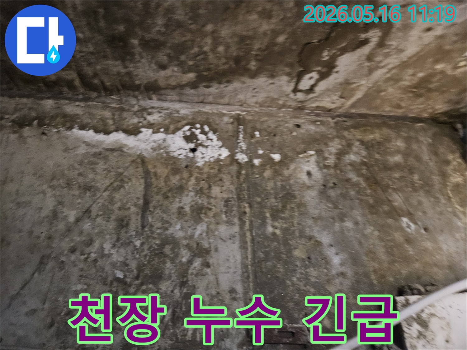 천장과 벽면 경계에-누수로 인한-심각한 피해가 발생하여-긴급한 조치가 필요한-현장의 모습