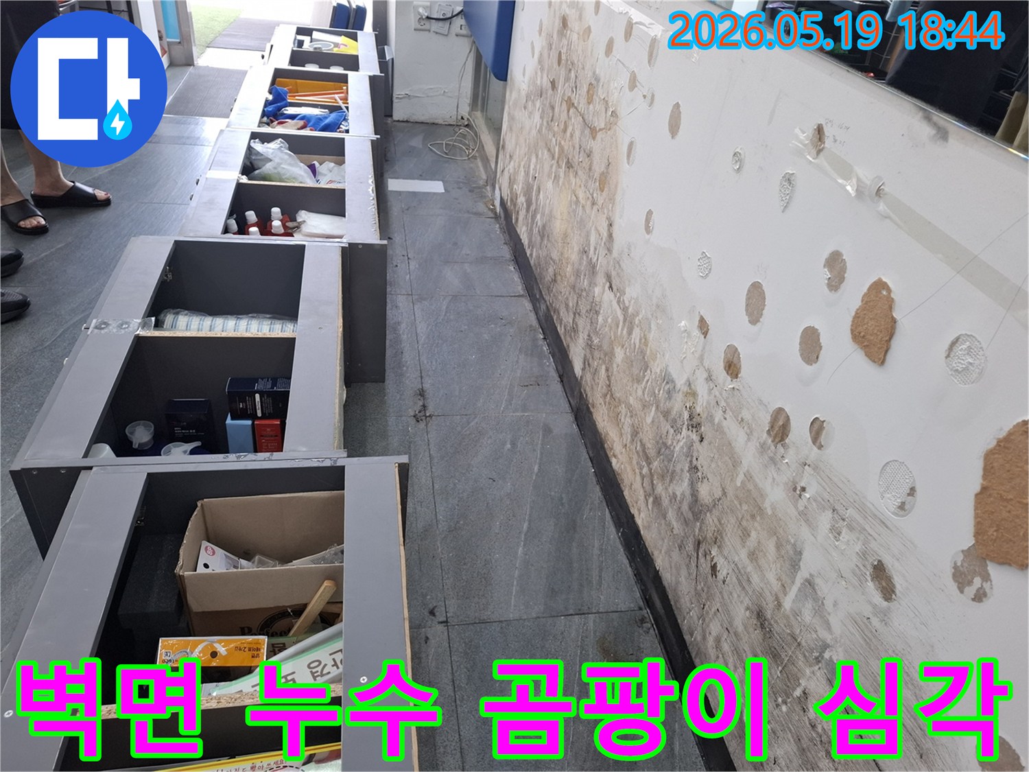 물이 새어 벽면에 심한 곰팡이가 발생한 누수 현장-전문가가 벽면 상태를 점검하는 모습