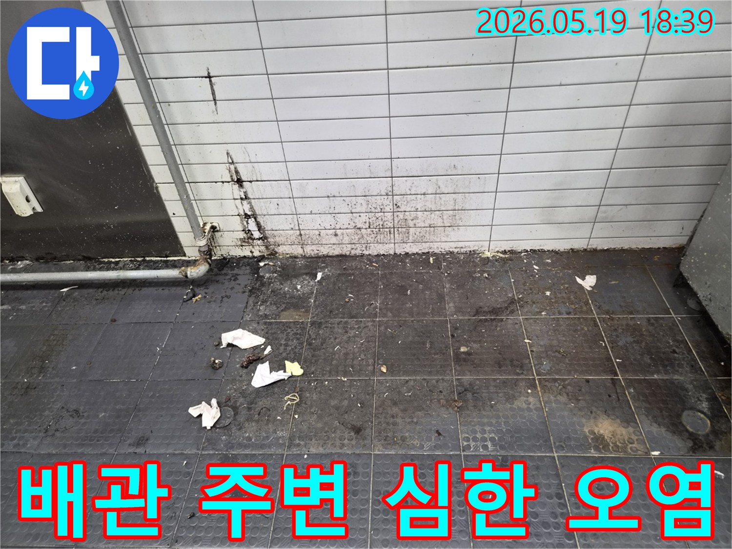 오래된 배관에서 물이 새어-벽면과 바닥에 곰팡이가 심하게 번진 상태