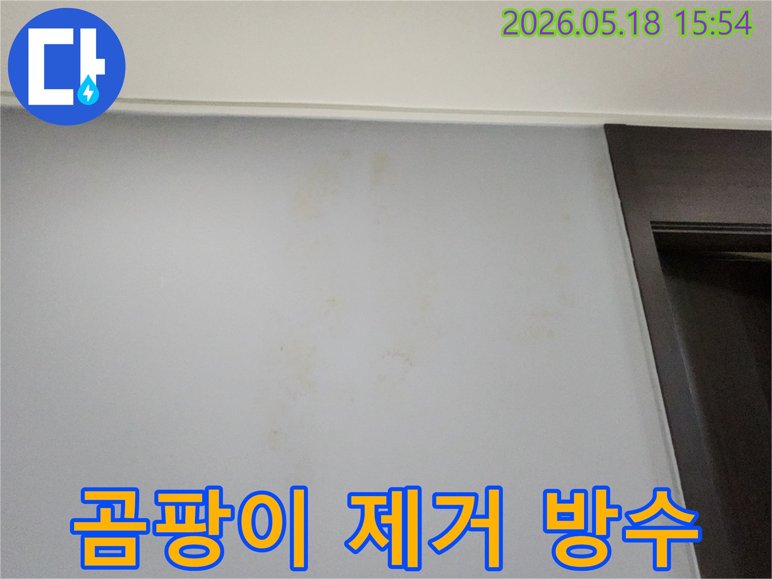 벽면에-피어난-곰팡이를-전문적으로-제거하고-방수 처리하기 위한-현장-사진입니다.