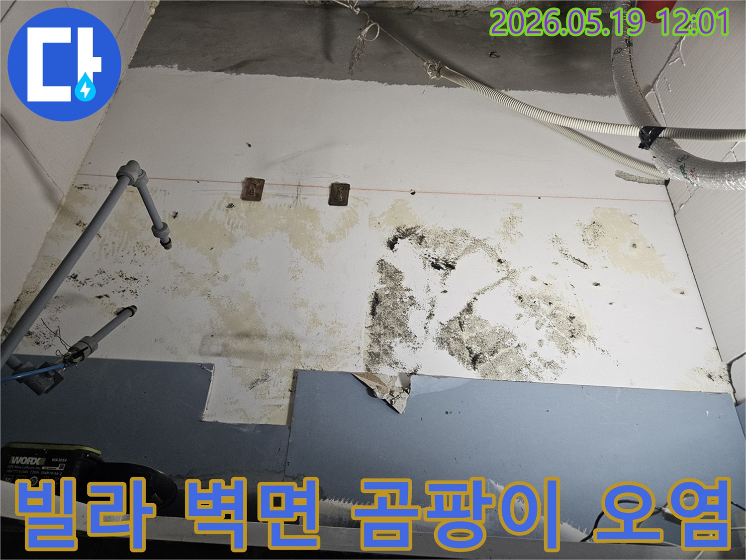 빌라-벽면에-누수로-인해-발생한-심각한-곰팡이-오염과-벽지-손상-상태를-보여주는-사진
