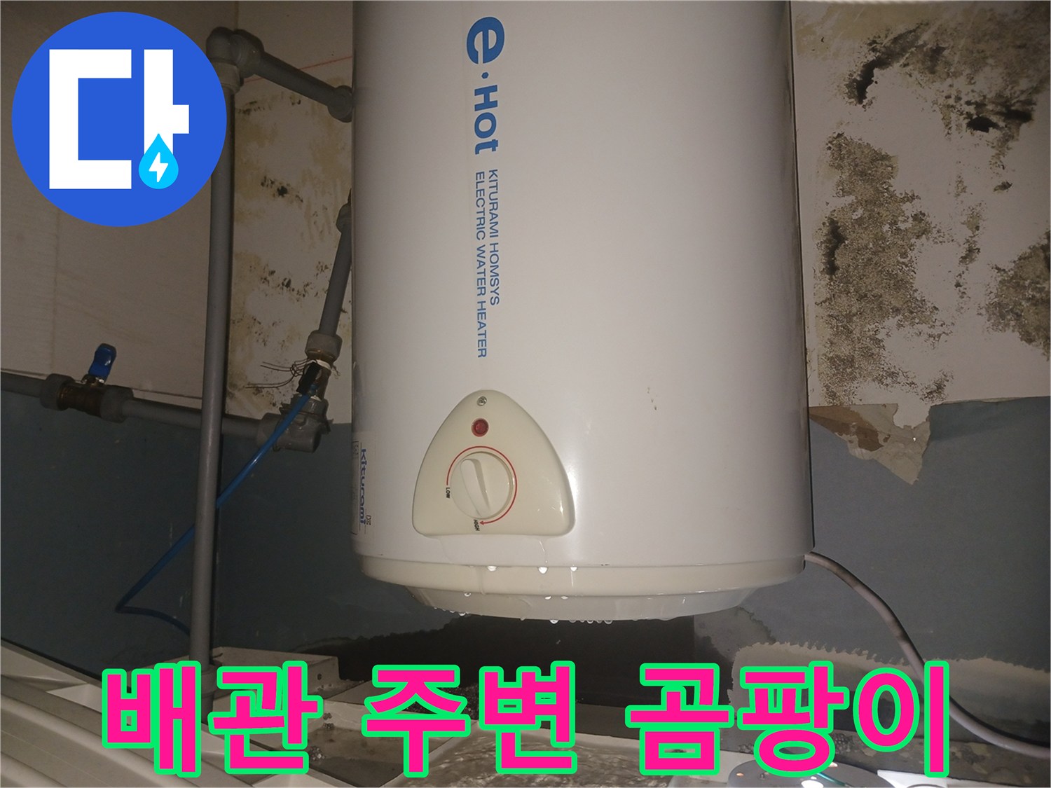 온수기-연결-배관-주변의-심한-곰팡이-발생