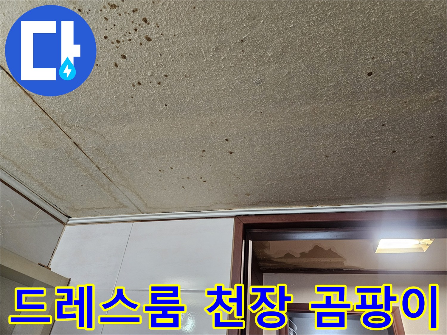 덕양구 아파트-드레스룸 천장 벽지의 곰팡이 및 물자국 현상