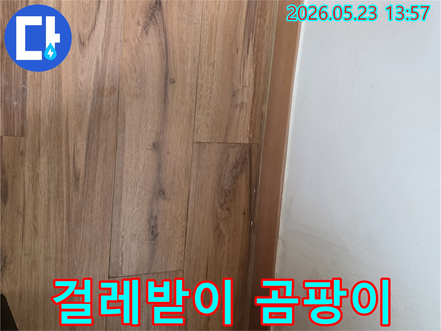 누수로-인해-걸레받이가-변색되고-벽면에-곰팡이가-번식한-현장을-보여주는-사진입니다.