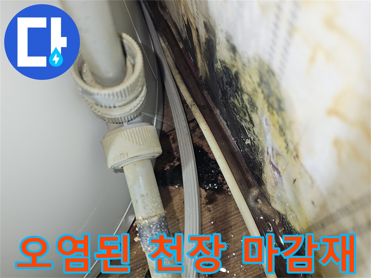 습기로 인해 변색되고 곰팡이가 발생한 천장 부위