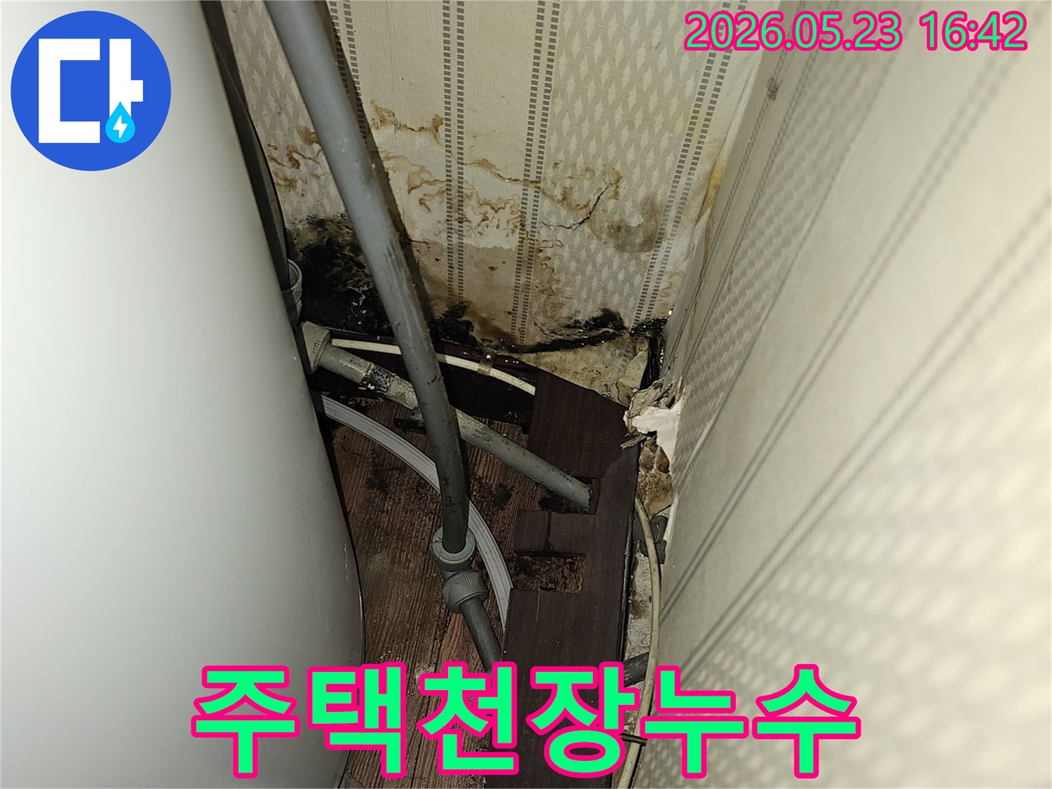 이 이미지는 심각한 천장 누수로-인해 벽지가 젖고-곰팡이가 발생한-욕실의 모습을 보여줍니다.